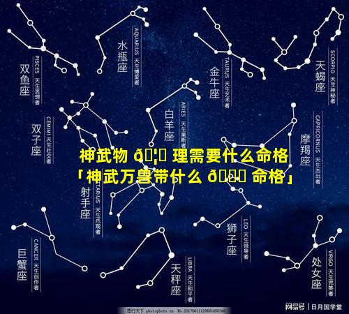神武物 🦈 理需要什么命格「神武万兽带什么 🐝 命格」